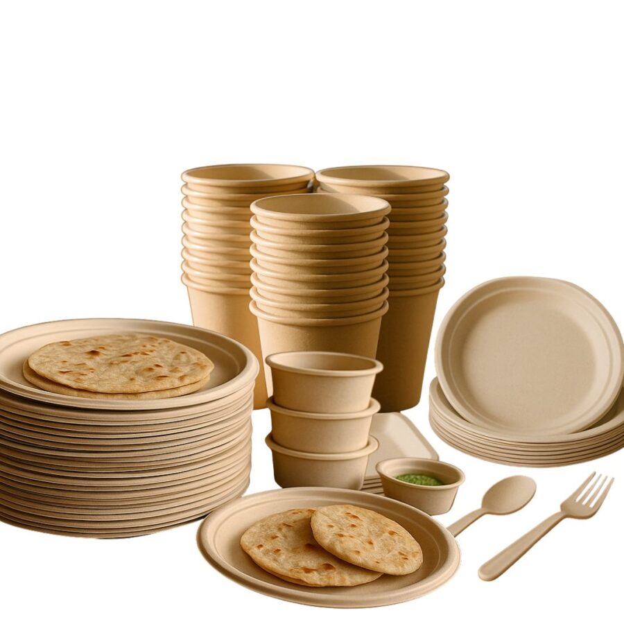 Bagasse products